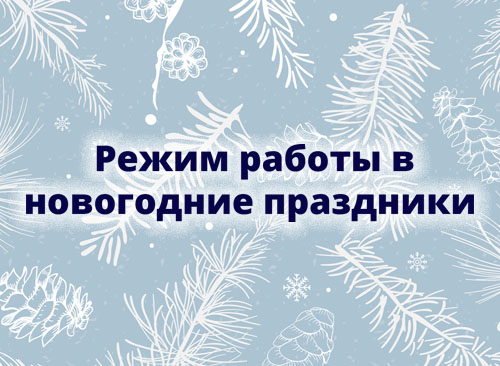 Режим работы в новогодние праздники<